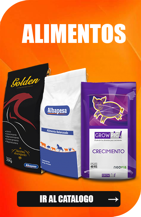 Alimentos